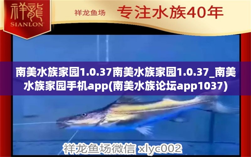 南美水族家園1.0.37南美水族家園1.0.37_南美水族家園手機(jī)app(南美水族論壇app1037) 女王大帆魚苗