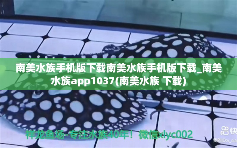 南美水族手機(jī)版下載南美水族手機(jī)版下載_南美水族app1037(南美水族 下載) 魚缸風(fēng)水