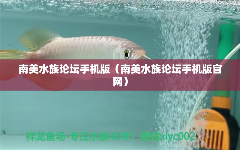 南美水族論壇手機版（南美水族論壇手機版官網(wǎng)） 廣州龍魚批發(fā)市場