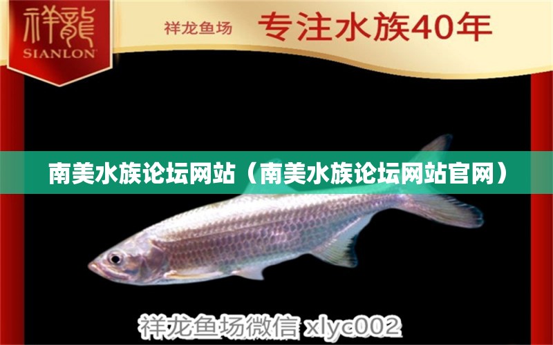 南美水族論壇網(wǎng)站（南美水族論壇網(wǎng)站官網(wǎng)）