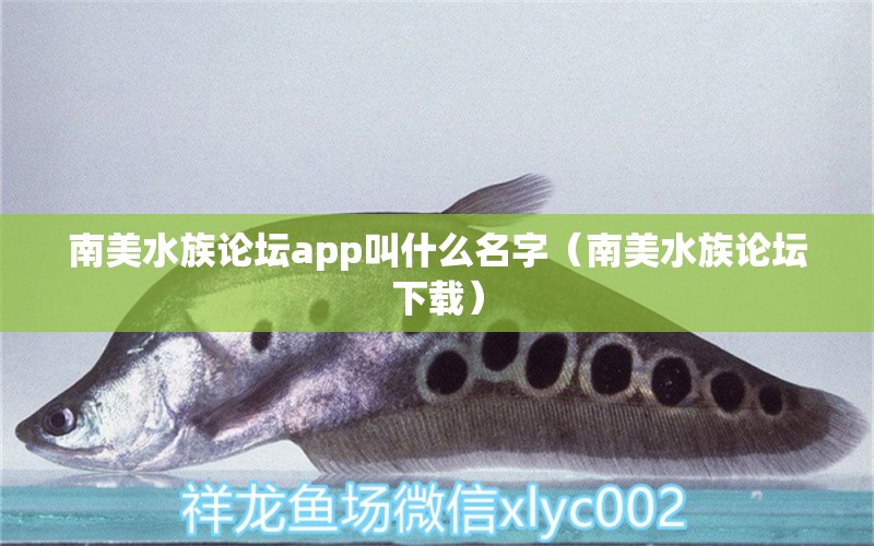 南美水族論壇app叫什么名字（南美水族論壇下載） 除藻劑 第1張