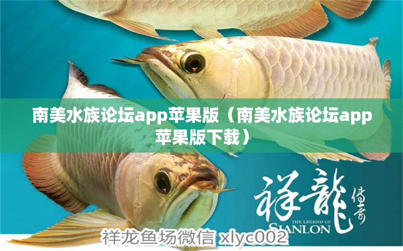 南美水族論壇app蘋(píng)果版（南美水族論壇app蘋(píng)果版下載） 廣州龍魚(yú)批發(fā)市場(chǎng)