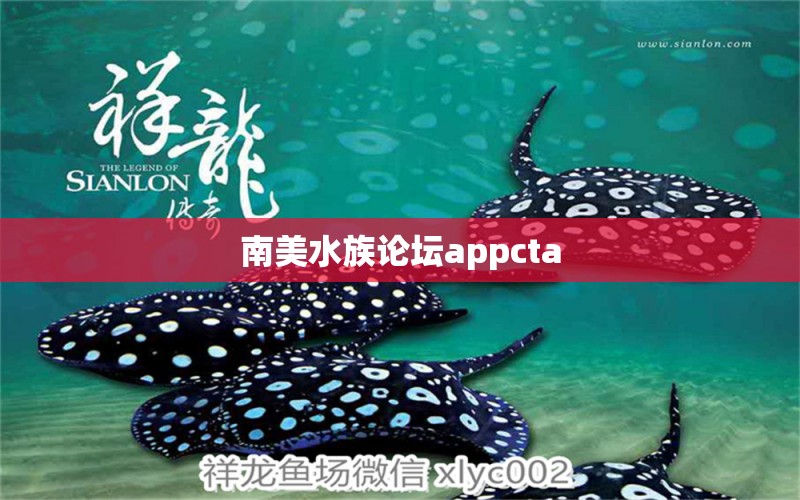 南美水族論壇appcta