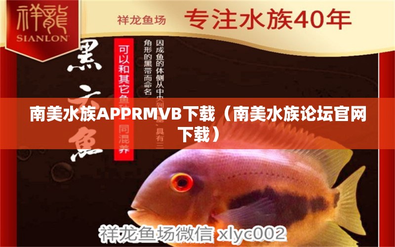 南美水族APPRMVB下載（南美水族論壇官網(wǎng)下載） 玫瑰銀版魚