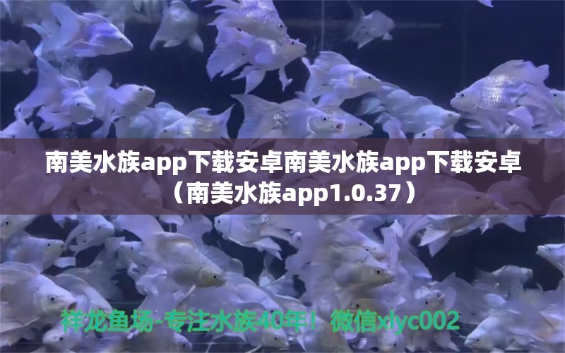 南美水族app下載安卓南美水族app下載安卓（南美水族app1.0.37） 廣州龍魚批發(fā)市場