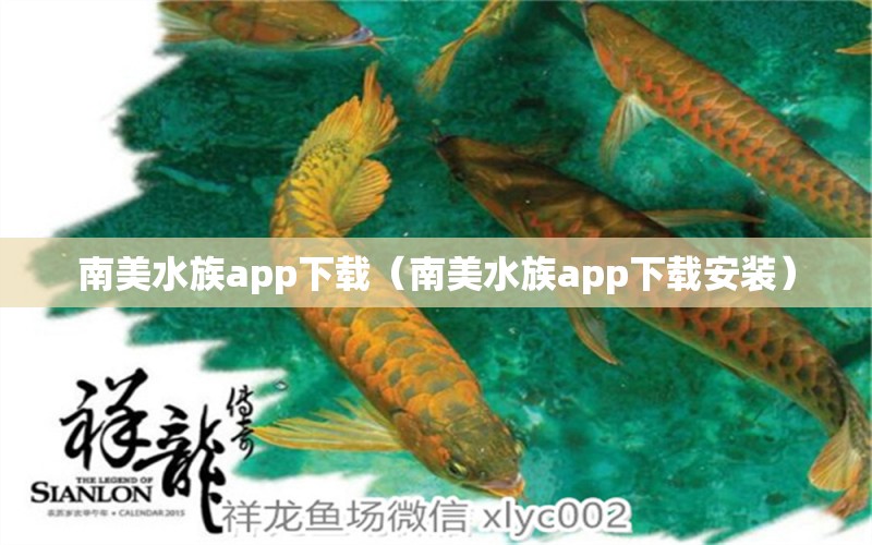 南美水族app下載（南美水族app下載安裝）