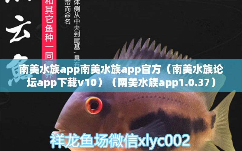 南美水族app南美水族app官方（南美水族論壇app下載v10）（南美水族app1.0.37） 夢(mèng)幻雷龍魚(yú)