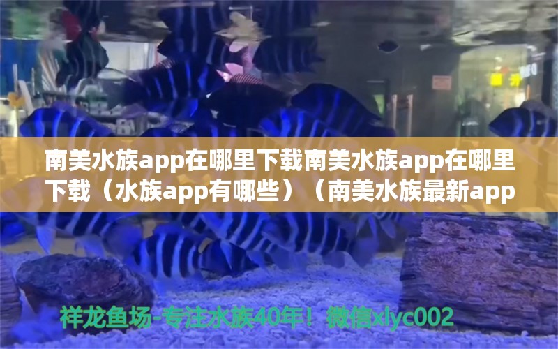 南美水族app在哪里下載南美水族app在哪里下載（水族app有哪些）（南美水族最新app） 廣州龍魚批發(fā)市場