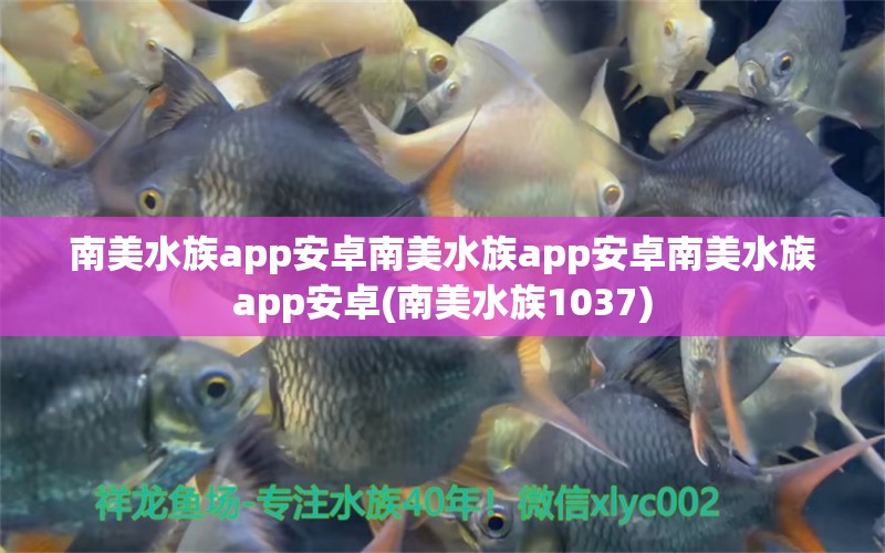 南美水族app安卓南美水族app安卓南美水族app安卓(南美水族1037) 魚缸等水族設(shè)備