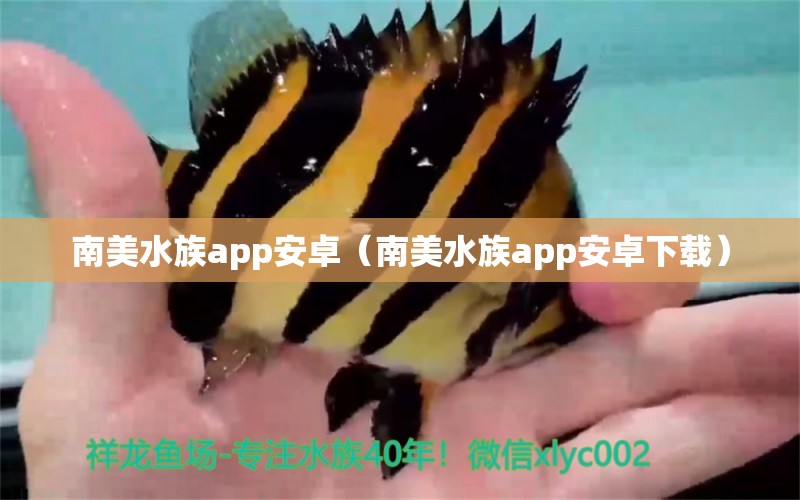 南美水族app安卓（南美水族app安卓下載）