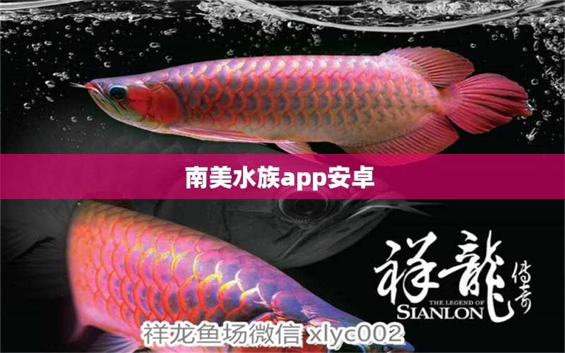 南美水族app安卓  海水魚（海水魚批發(fā)）