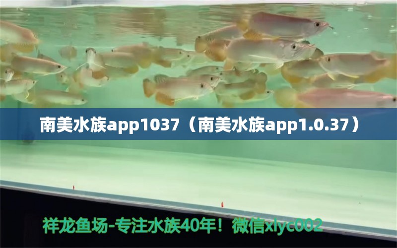 南美水族app1037（南美水族app1.0.37）