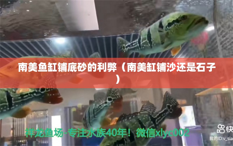 南美魚缸鋪底砂的利弊（南美缸鋪沙還是石子） 魚缸/水族箱