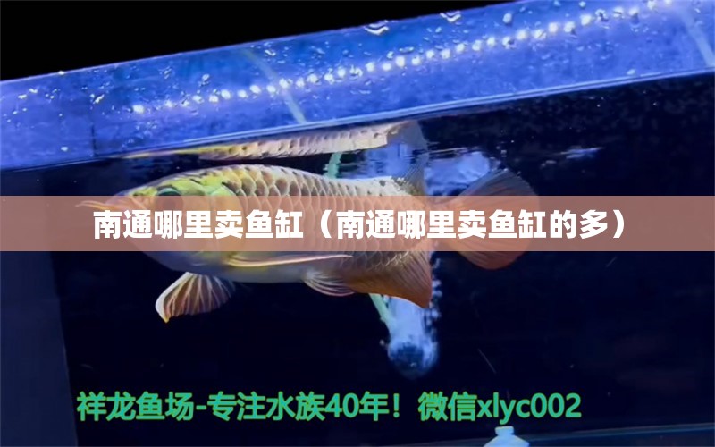 南通哪里賣(mài)魚(yú)缸（南通哪里賣(mài)魚(yú)缸的多）