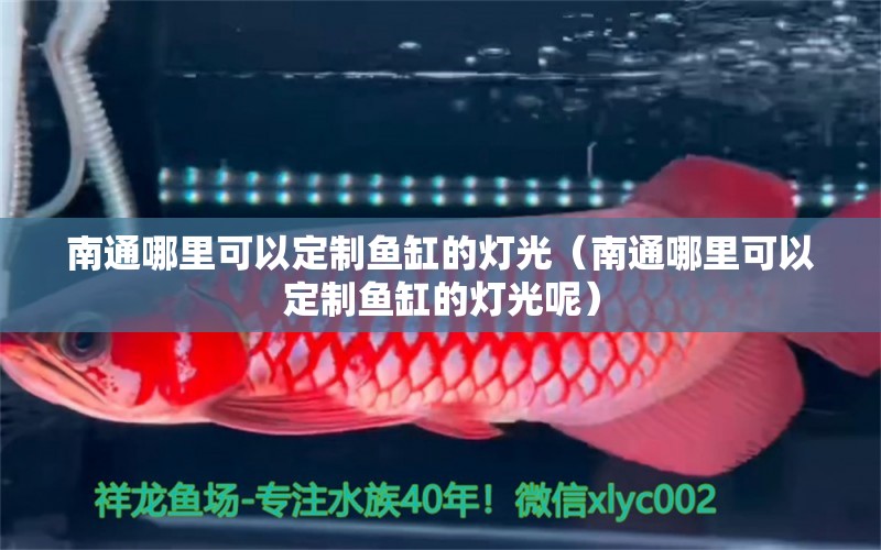 南通哪里可以定制魚(yú)缸的燈光（南通哪里可以定制魚(yú)缸的燈光呢） 觀賞魚(yú)水族批發(fā)市場(chǎng)