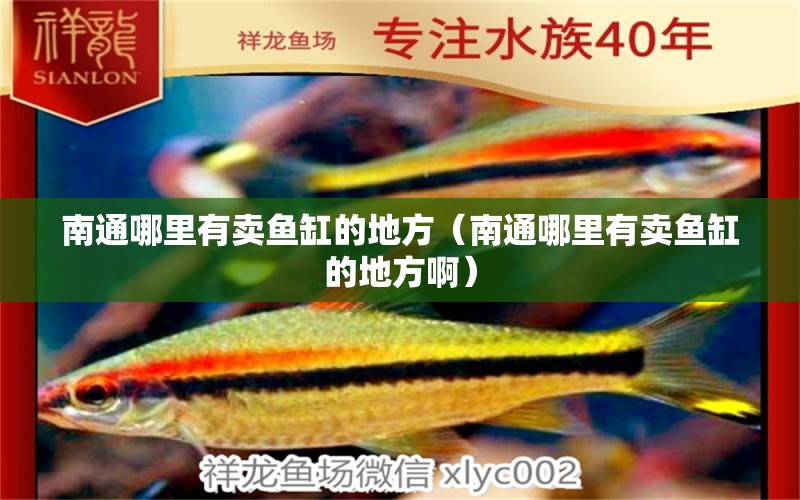 南通哪里有賣魚缸的地方（南通哪里有賣魚缸的地方?。?其他品牌魚缸