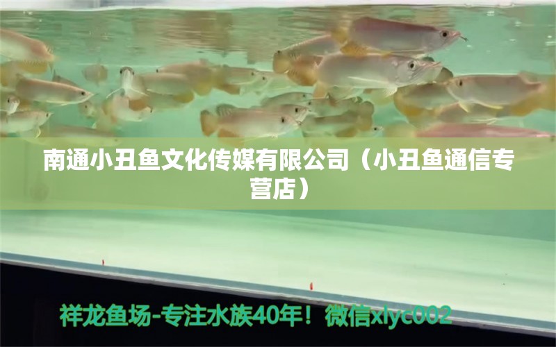 南通小丑魚文化傳媒有限公司（小丑魚通信專營店）