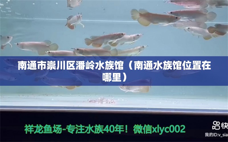 南通市崇川區(qū)潘嶺水族館（南通水族館位置在哪里）