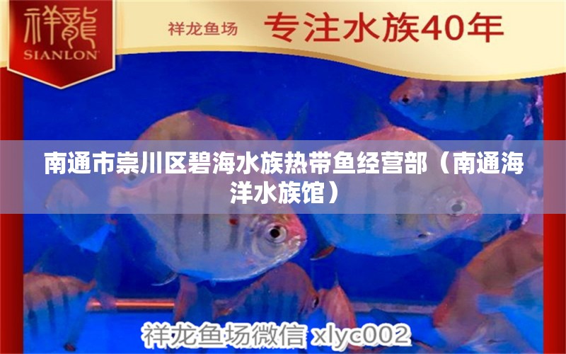 南通市崇川區(qū)碧海水族熱帶魚經(jīng)營部（南通海洋水族館） 全國水族館企業(yè)名錄