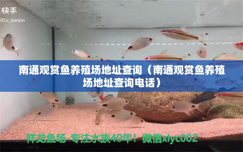 南通觀賞魚養(yǎng)殖場地址查詢（南通觀賞魚養(yǎng)殖場地址查詢電話）