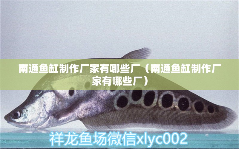 南通魚缸制作廠家有哪些廠（南通魚缸制作廠家有哪些廠） 觀賞魚水族批發(fā)市場(chǎng)