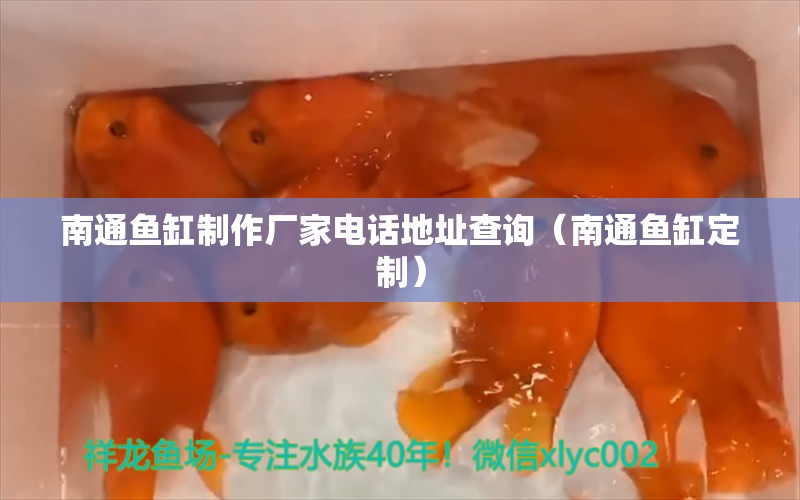 南通魚缸制作廠家電話地址查詢（南通魚缸定制） 廣州觀賞魚批發(fā)市場