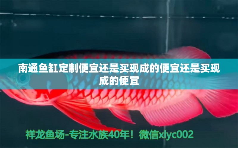 南通魚(yú)缸定制便宜還是買(mǎi)現(xiàn)成的便宜還是買(mǎi)現(xiàn)成的便宜 養(yǎng)魚(yú)知識(shí) 第1張