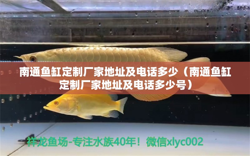 南通魚缸定制廠家地址及電話多少（南通魚缸定制廠家地址及電話多少號） 祥龍水族醫(yī)院