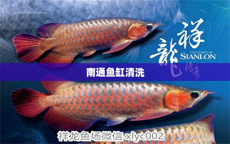 南通魚缸清洗