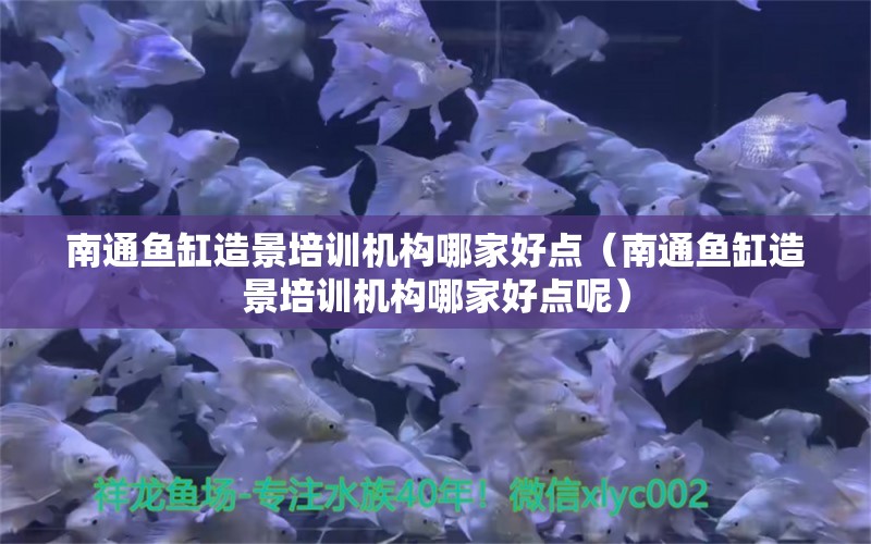 南通魚缸造景培訓機構哪家好點（南通魚缸造景培訓機構哪家好點呢）