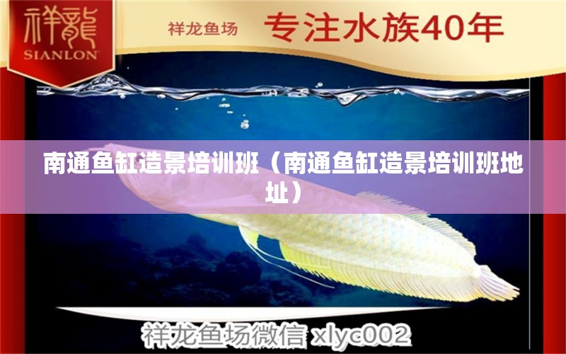 南通魚缸造景培訓(xùn)班（南通魚缸造景培訓(xùn)班地址）