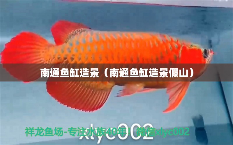 南通魚(yú)缸造景（南通魚(yú)缸造景假山） 廣州龍魚(yú)批發(fā)市場(chǎng)