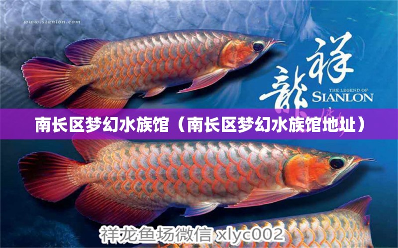 南長區(qū)夢幻水族館（南長區(qū)夢幻水族館地址）