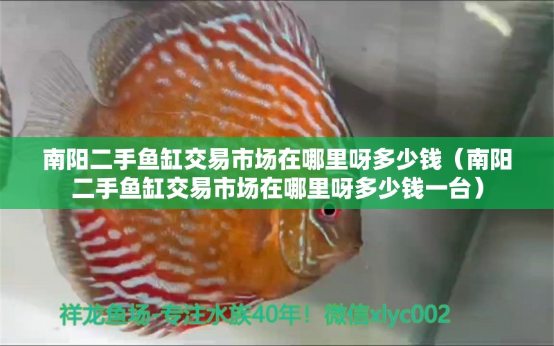 南陽二手魚缸交易市場在哪里呀多少錢（南陽二手魚缸交易市場在哪里呀多少錢一臺） 祥龍水族醫(yī)院