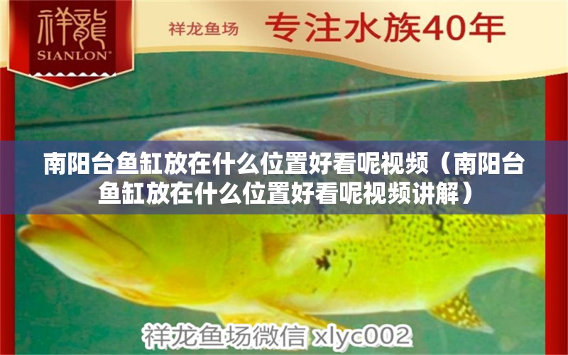 南陽臺魚缸放在什么位置好看呢視頻（南陽臺魚缸放在什么位置好看呢視頻講解） 薩伊藍魚