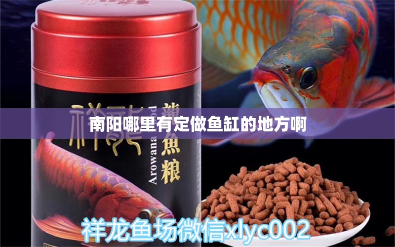 南陽(yáng)哪里有定做魚(yú)缸的地方啊