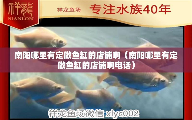 南陽哪里有定做魚缸的店鋪啊（南陽哪里有定做魚缸的店鋪啊電話） 祥龍水族醫(yī)院