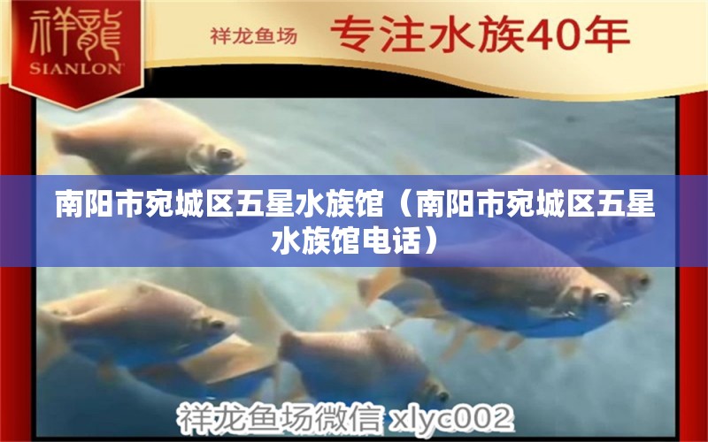 南陽(yáng)市宛城區(qū)五星水族館（南陽(yáng)市宛城區(qū)五星水族館電話）