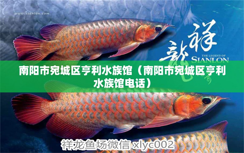 南陽市宛城區(qū)亨利水族館（南陽市宛城區(qū)亨利水族館電話）