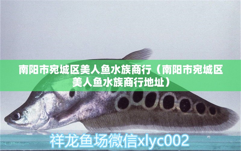 南陽(yáng)市宛城區(qū)美人魚(yú)水族商行（南陽(yáng)市宛城區(qū)美人魚(yú)水族商行地址）