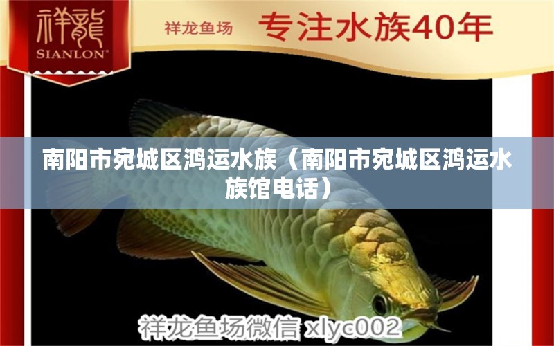 南陽市宛城區(qū)鴻運(yùn)水族（南陽市宛城區(qū)鴻運(yùn)水族館電話） 全國水族館企業(yè)名錄