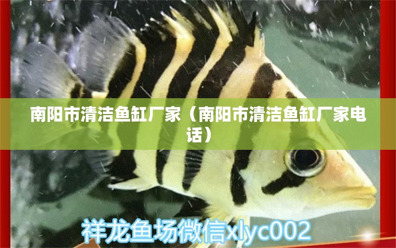 南陽市清潔魚缸廠家（南陽市清潔魚缸廠家電話） 其他品牌魚缸