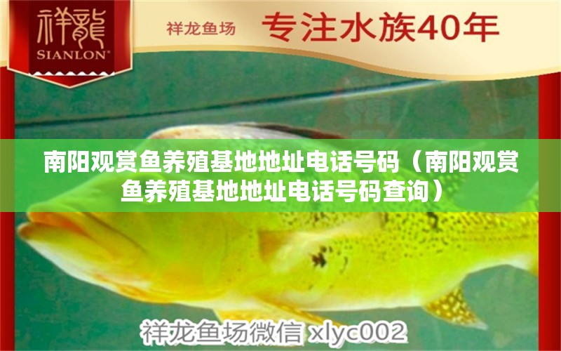 南陽(yáng)觀賞魚養(yǎng)殖基地地址電話號(hào)碼（南陽(yáng)觀賞魚養(yǎng)殖基地地址電話號(hào)碼查詢）