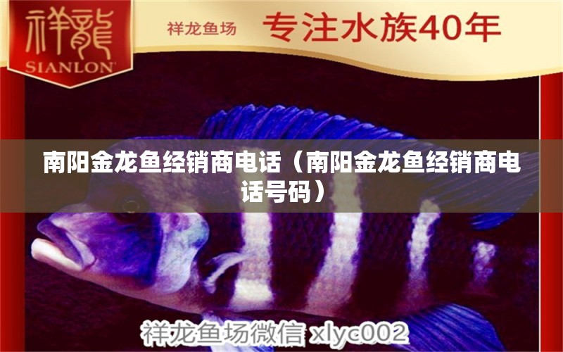 南陽金龍魚經(jīng)銷商電話（南陽金龍魚經(jīng)銷商電話號碼） 照明器材