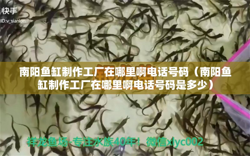 南陽(yáng)魚缸制作工廠在哪里啊電話號(hào)碼（南陽(yáng)魚缸制作工廠在哪里啊電話號(hào)碼是多少）