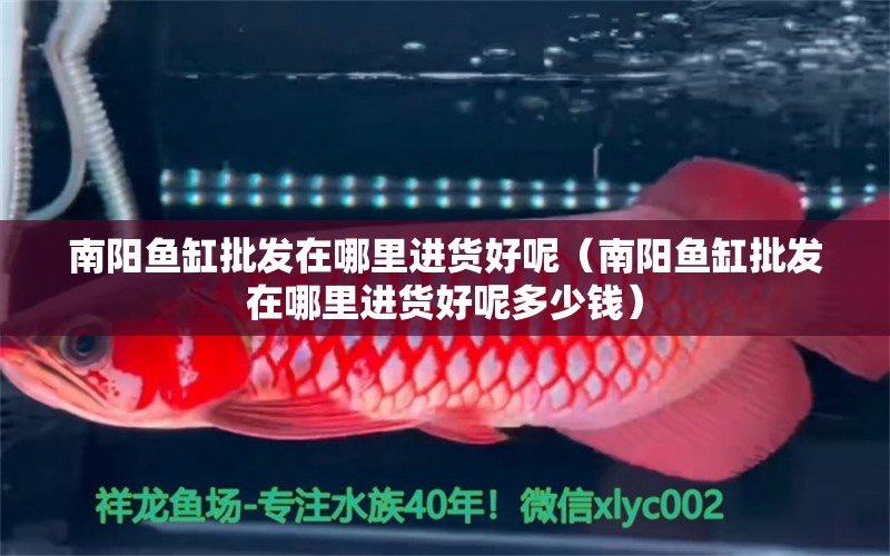 南陽(yáng)魚(yú)缸批發(fā)在哪里進(jìn)貨好呢（南陽(yáng)魚(yú)缸批發(fā)在哪里進(jìn)貨好呢多少錢(qián)）