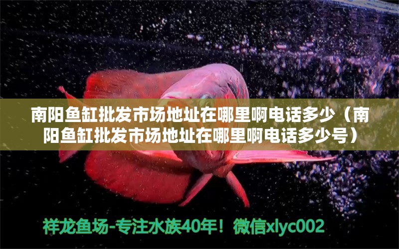 南陽魚缸批發(fā)市場地址在哪里啊電話多少（南陽魚缸批發(fā)市場地址在哪里啊電話多少號） 可麗愛魚缸