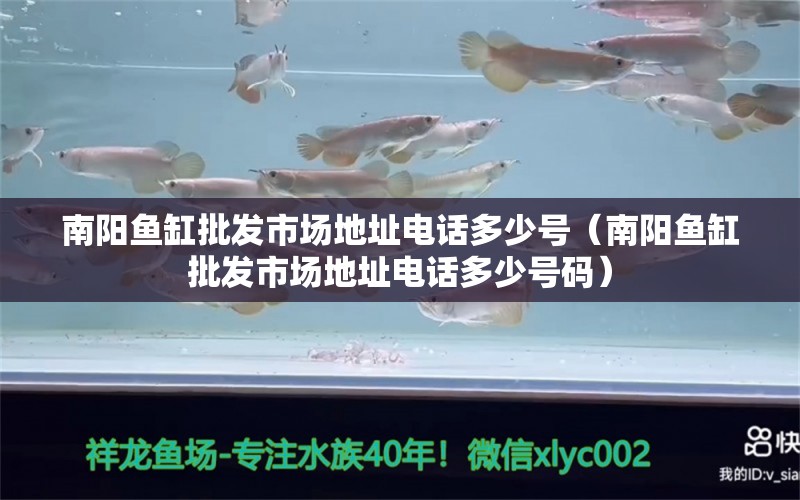 南陽魚缸批發(fā)市場地址電話多少號（南陽魚缸批發(fā)市場地址電話多少號碼） 祥龍魚場