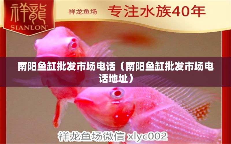 南陽(yáng)魚(yú)缸批發(fā)市場(chǎng)電話（南陽(yáng)魚(yú)缸批發(fā)市場(chǎng)電話地址）