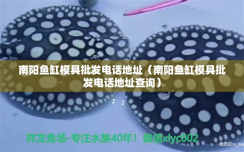 南陽(yáng)魚缸模具批發(fā)電話地址（南陽(yáng)魚缸模具批發(fā)電話地址查詢） 野彩魚